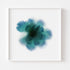 Aqua Blue Rose Floral Art Print